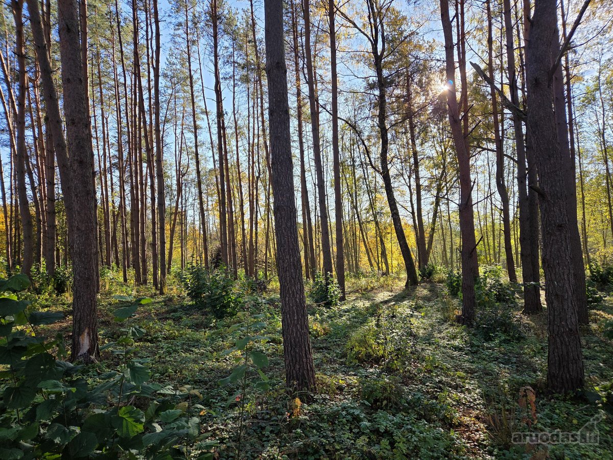 Parduodami apie 82 arų ploto sklypai Malūno g - nuotraukos Nr. 12