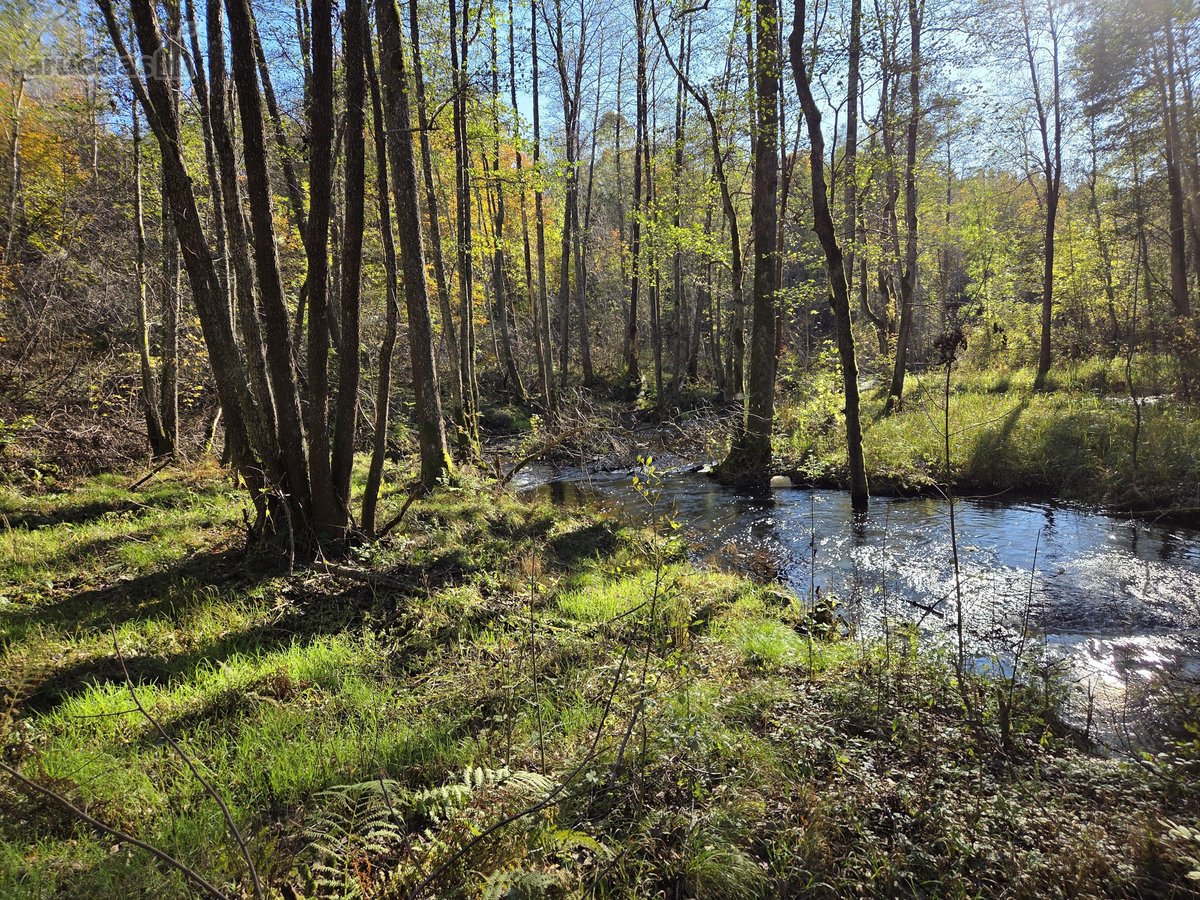Parduodami apie 82 arų ploto sklypai Malūno g - nuotraukos Nr. 15