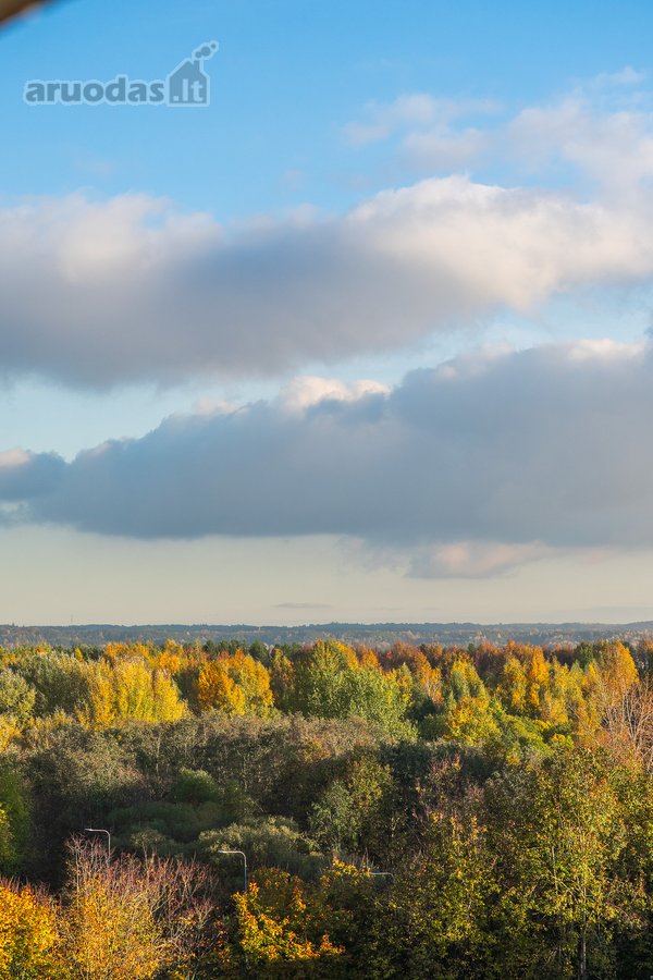 Parduodamas Trijų Kambarių Butas Su Gražia - nuotraukos Nr. 16