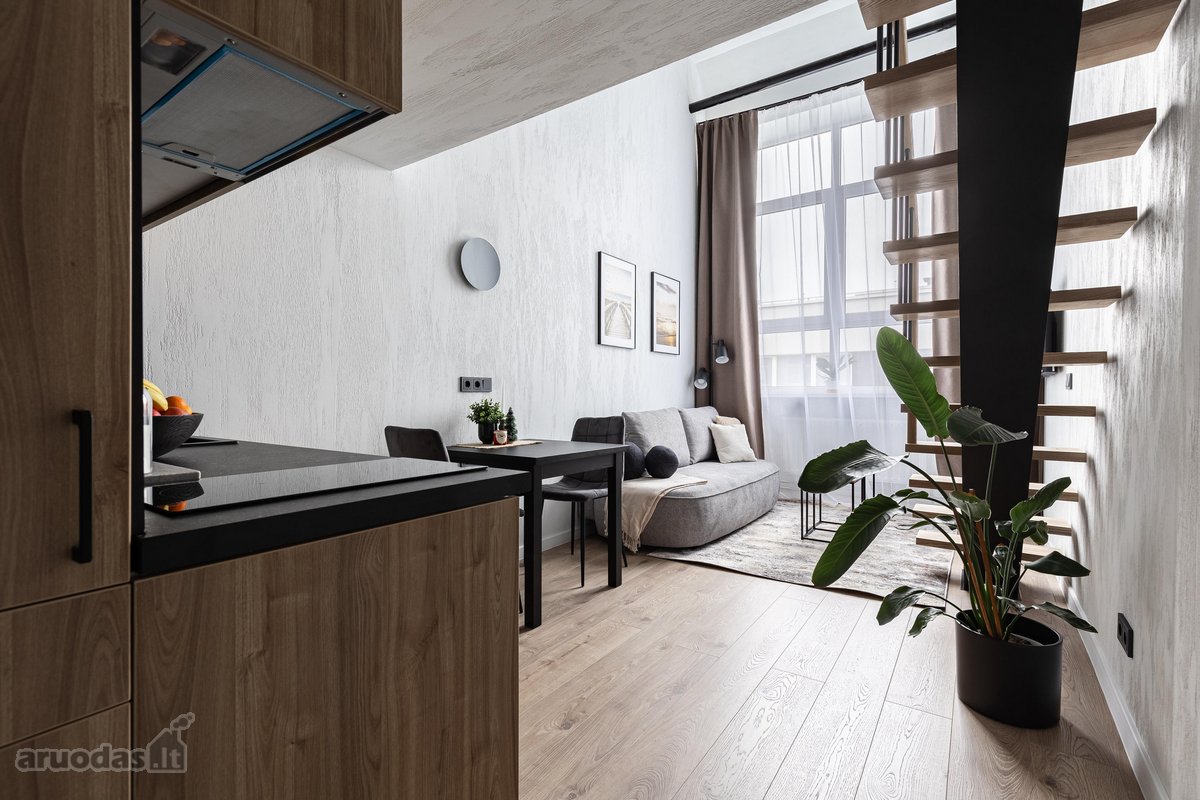 Išnuomojamas stilingas 41,81 m² loftas - nuotraukos Nr. 43