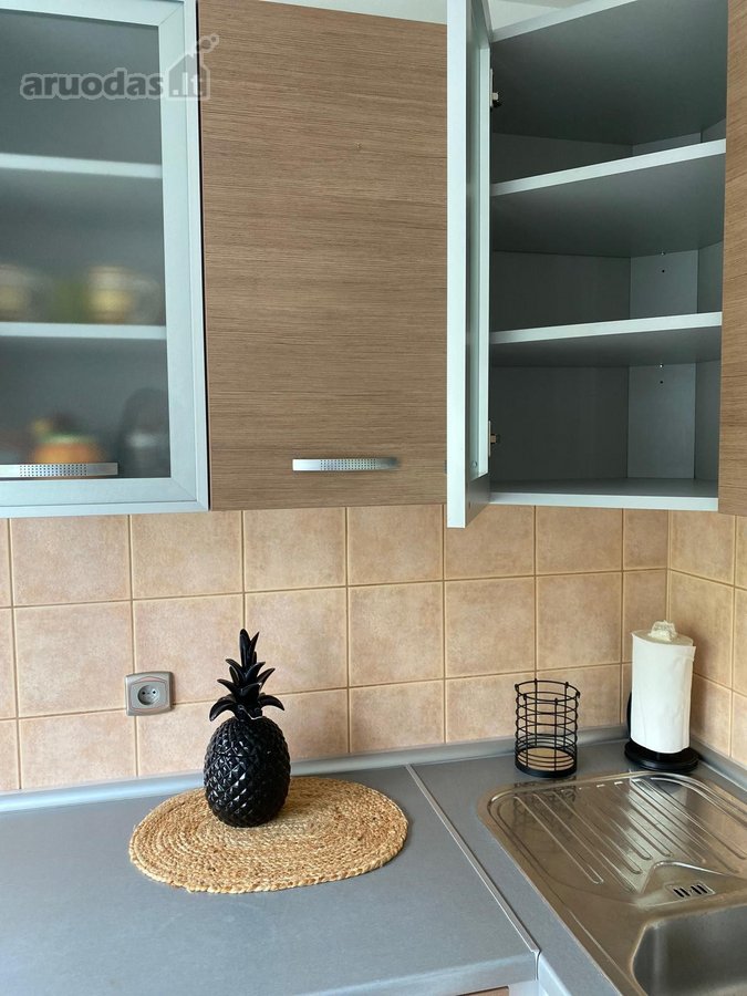 Išnuomojamas jaukus, tvarkingas 2 kambarių - nuotraukos Nr. 12