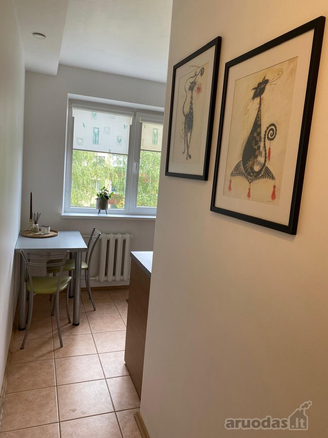 Išnuomojamas jaukus, tvarkingas 2 kambarių - nuotraukos Nr. 16