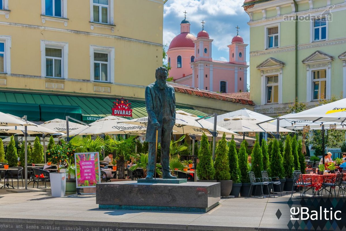 Erdvios prekybinės patalpos išskirtinėje - nuotraukos Nr. 29
