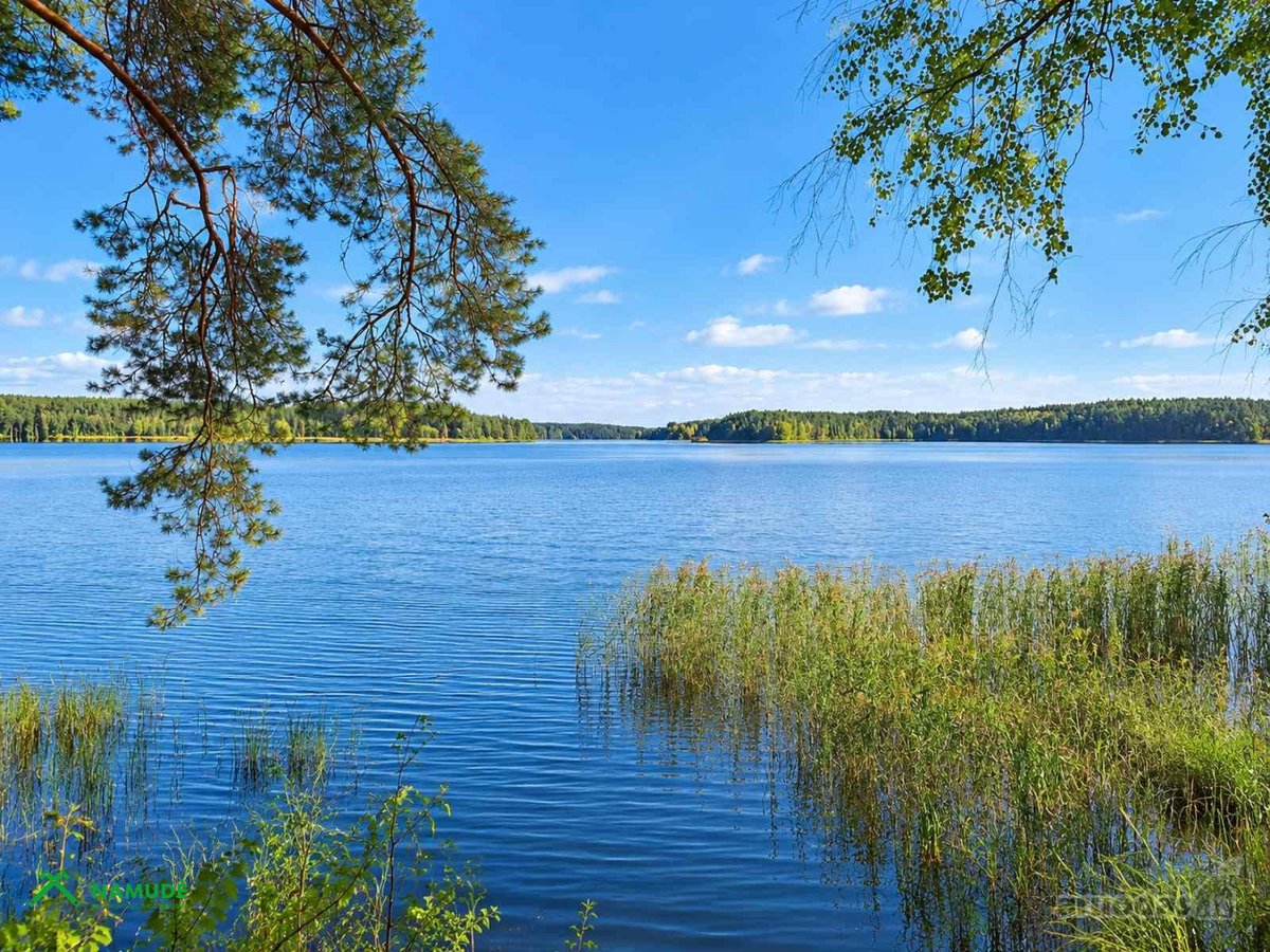 Parduodama Sodyba Šalia Gojaus Miško Su 10,39 - nuotraukos Nr. 19