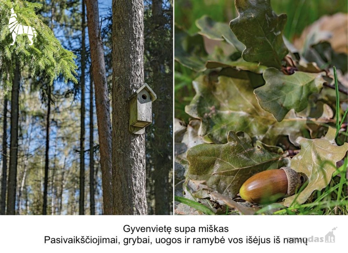 Kviečiame atvykti į Atvirų durų dieną! - nuotraukos Nr. 19