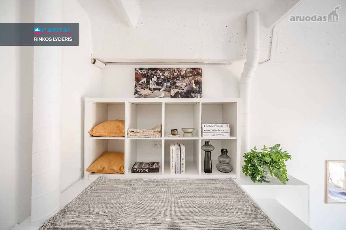 Jaukus Ir Išskirtinai Funkcionalus Loftas - nuotraukos Nr. 7
