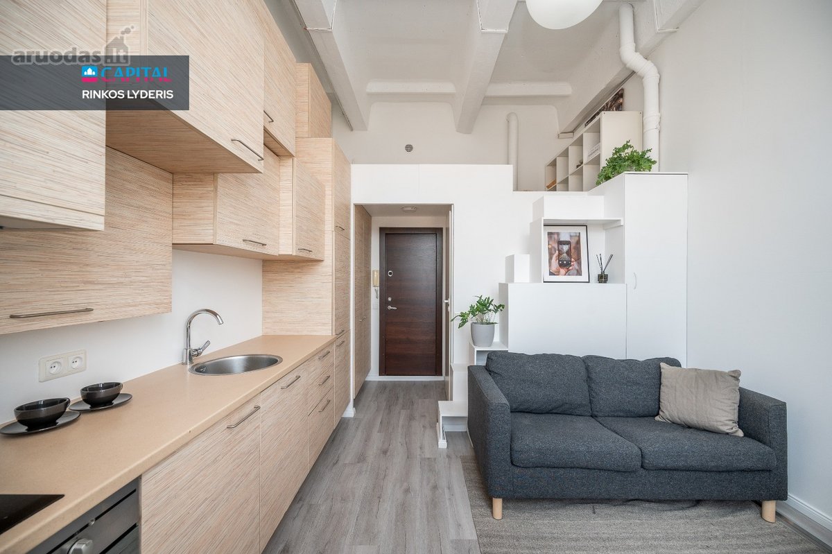Jaukus Ir Išskirtinai Funkcionalus Loftas - nuotraukos Nr. 12