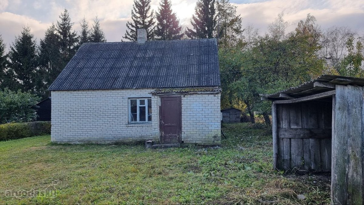 Žalioji g. 5, Noreikų k., Žeimelio sen., - nuotraukos Nr. 3