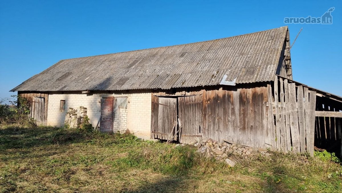 Žalioji g. 5, Noreikų k., Žeimelio sen., - nuotraukos Nr. 5
