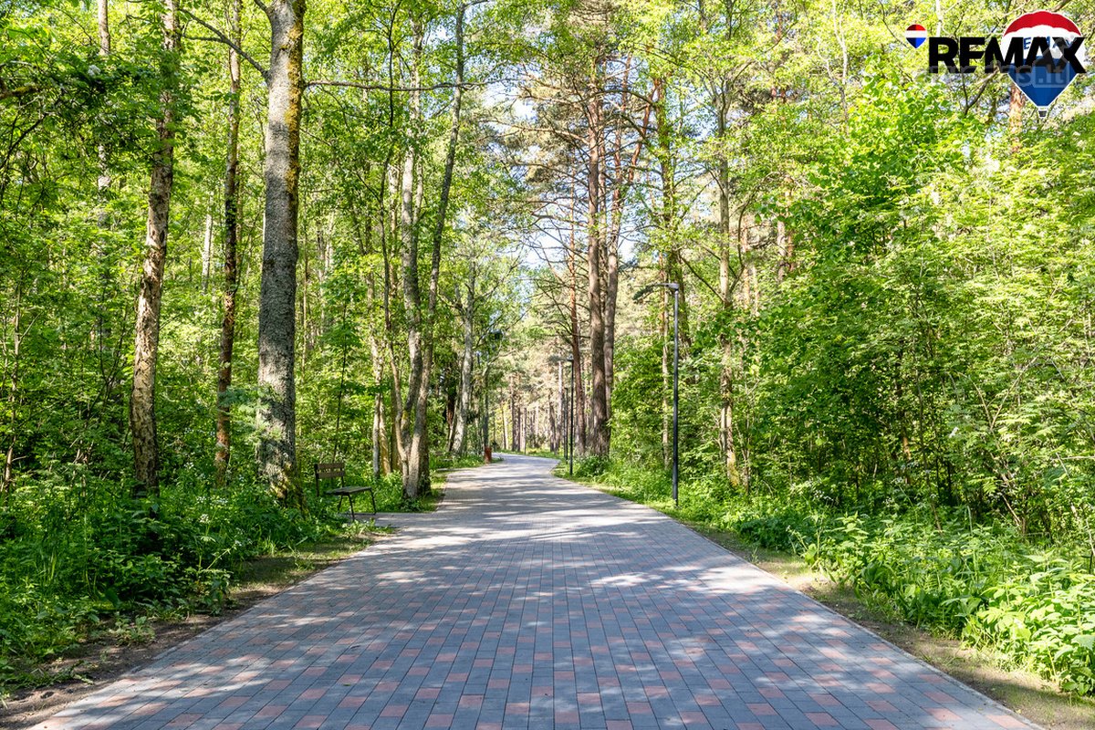 Moje Zonoje, Priešais Mišką , Parduodamas - nuotraukos Nr. 7