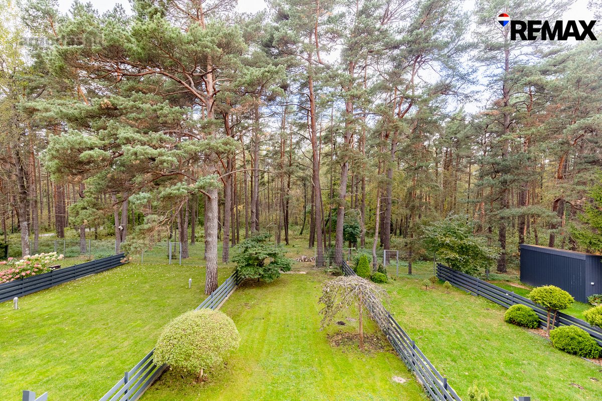 Moje Zonoje, Priešais Mišką , Parduodamas - nuotraukos Nr. 31