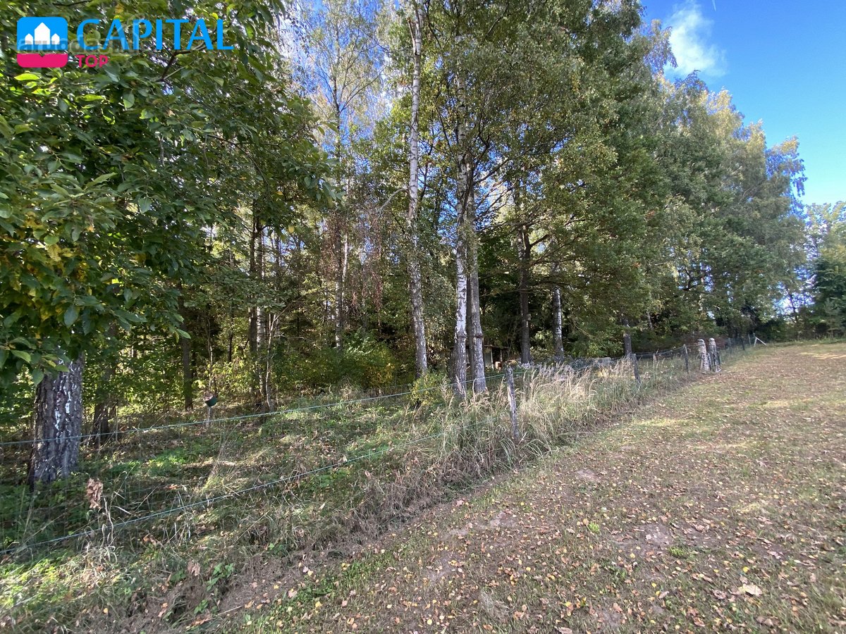 Baukių kaimas – tai vieta, kur laikas teka - nuotraukos Nr. 33