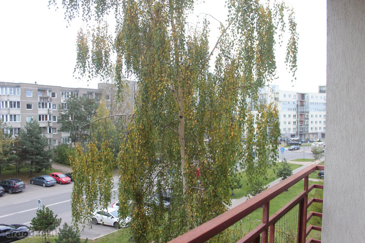 Nt brokerių paslaugos nepageidaujamos - nuotraukos Nr. 12