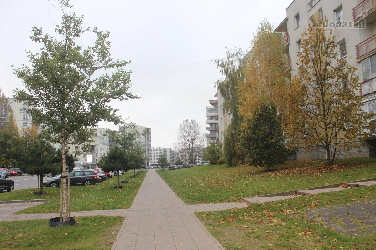 Nt brokerių paslaugos nepageidaujamos - nuotraukos Nr. 19