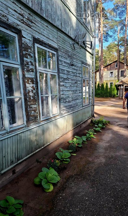 Parduodamas butas kurortinėje Kulautuvoje, - nuotraukos Nr. 13