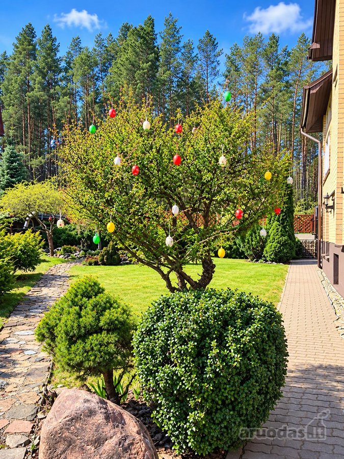 Parduodamas individualaus projekto pilnai - nuotraukos Nr. 14