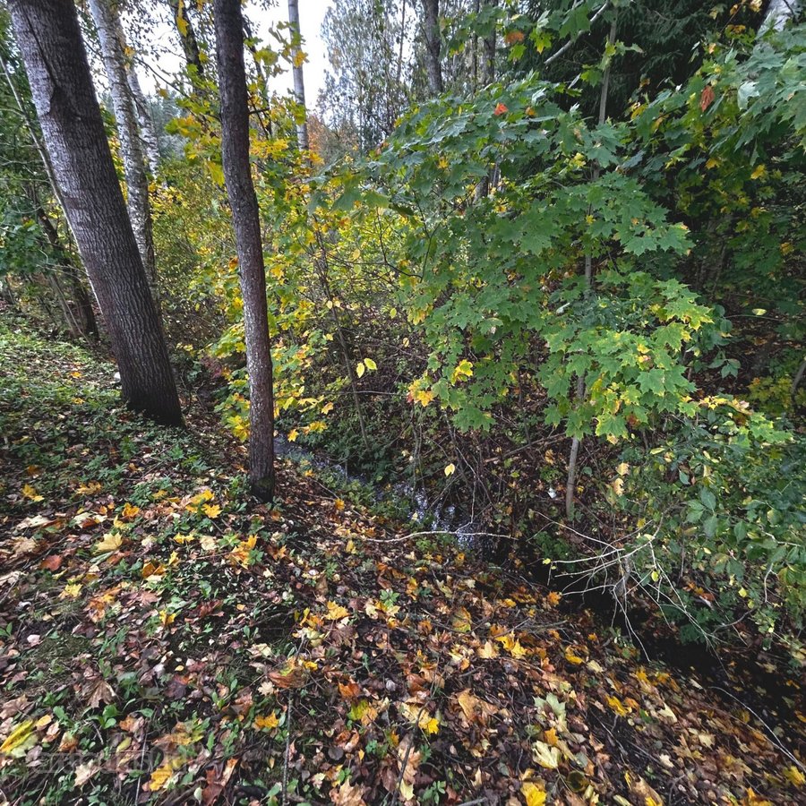 Parduodamas 7,19 aro sodo sklypas su 34,68 kv - nuotraukos Nr. 5