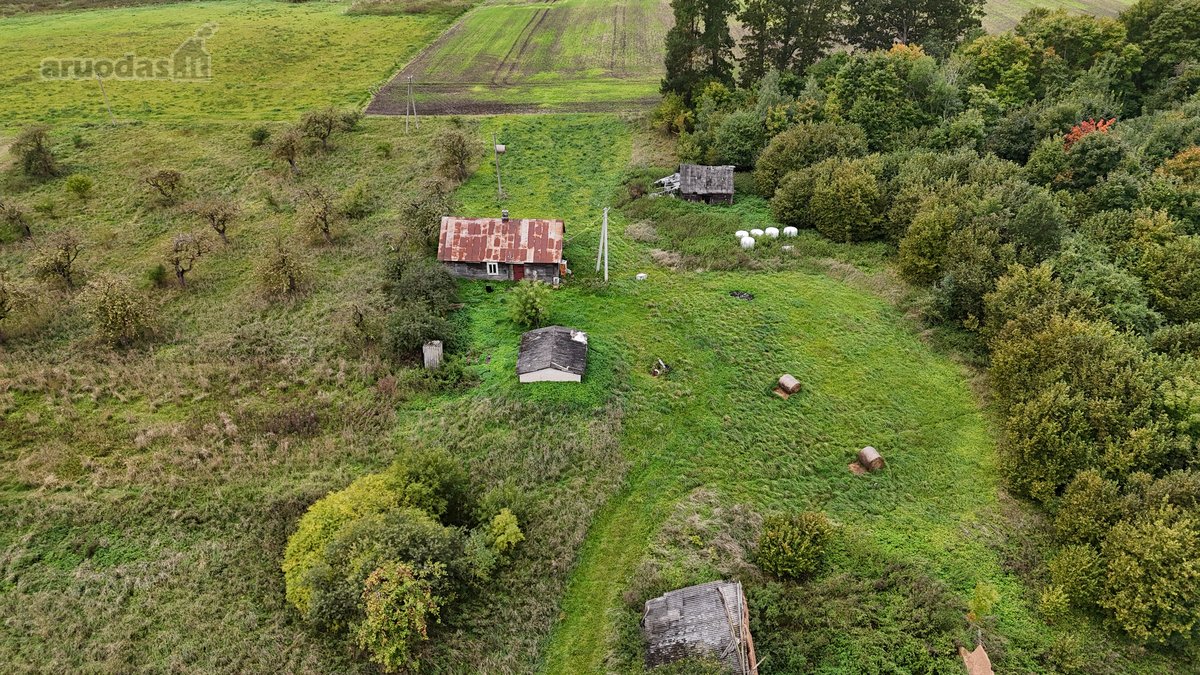 Parduodamas Erdvus 31,94 Arų Namų Valdos - nuotraukos Nr. 3