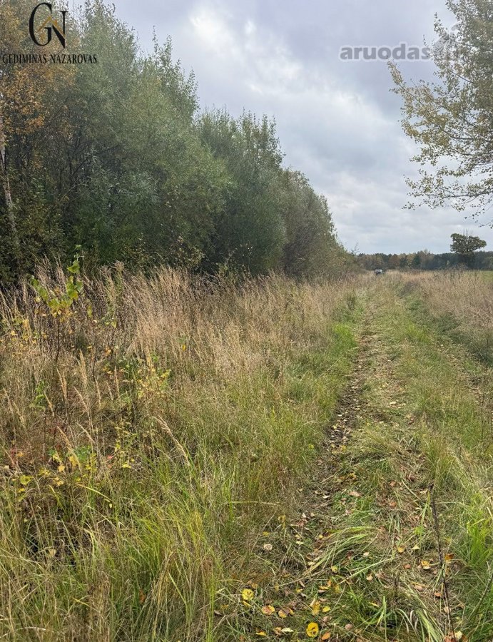 Parduodamas 32,24 Arų Sklypas Rusliuose, - nuotraukos Nr. 3