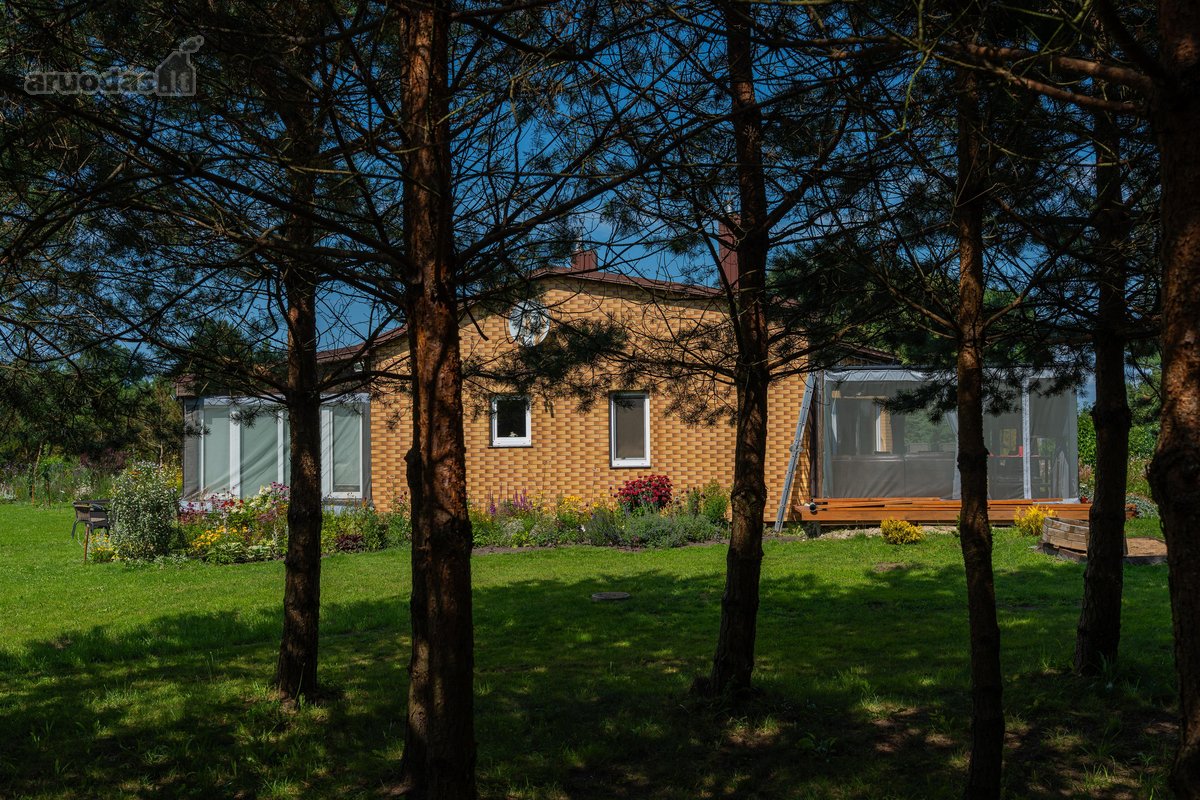 Namai ant Minijos kranto – 81 aras žalumos, - nuotraukos Nr. 5