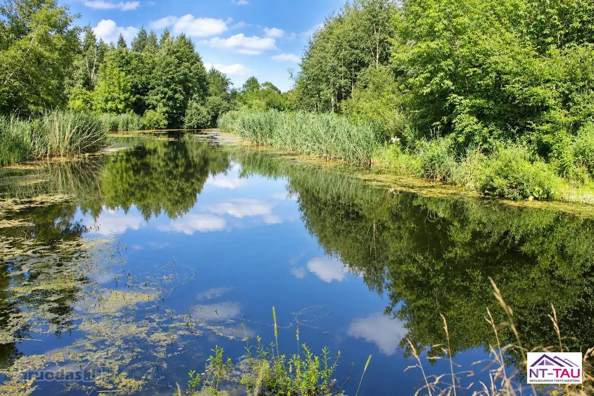Parduodamas Erdvus Namas Prie Sartų Ežero – - nuotraukos Nr. 23