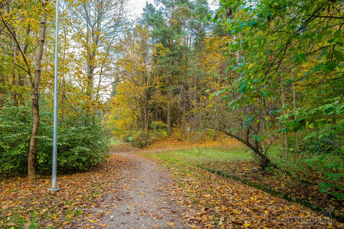 Antakalnyje, Žolyno Gatvėje Parduodamas - nuotraukos Nr. 64