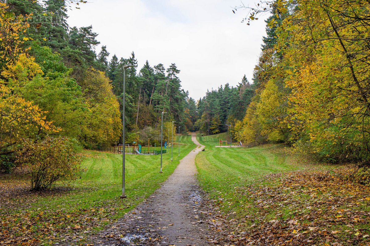 Antakalnyje, Žolyno Gatvėje Parduodamas - nuotraukos Nr. 59
