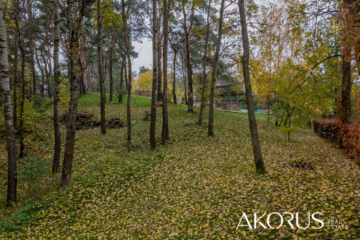 Verta Žinoti - nuotraukos Nr. 9