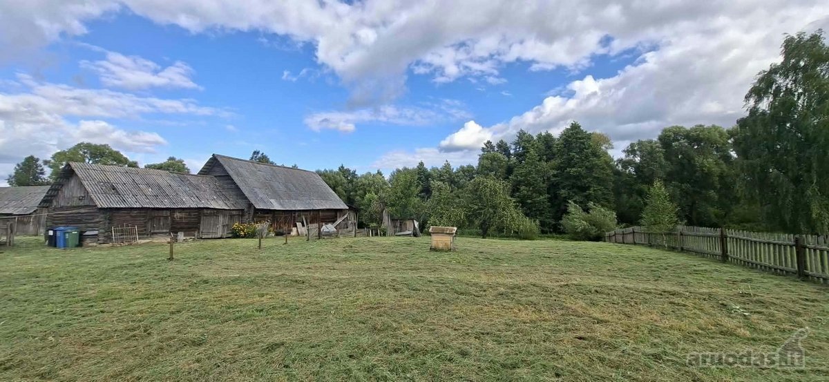 Sodyba parduodama kartu su žemės ūkio - nuotraukos Nr. 4