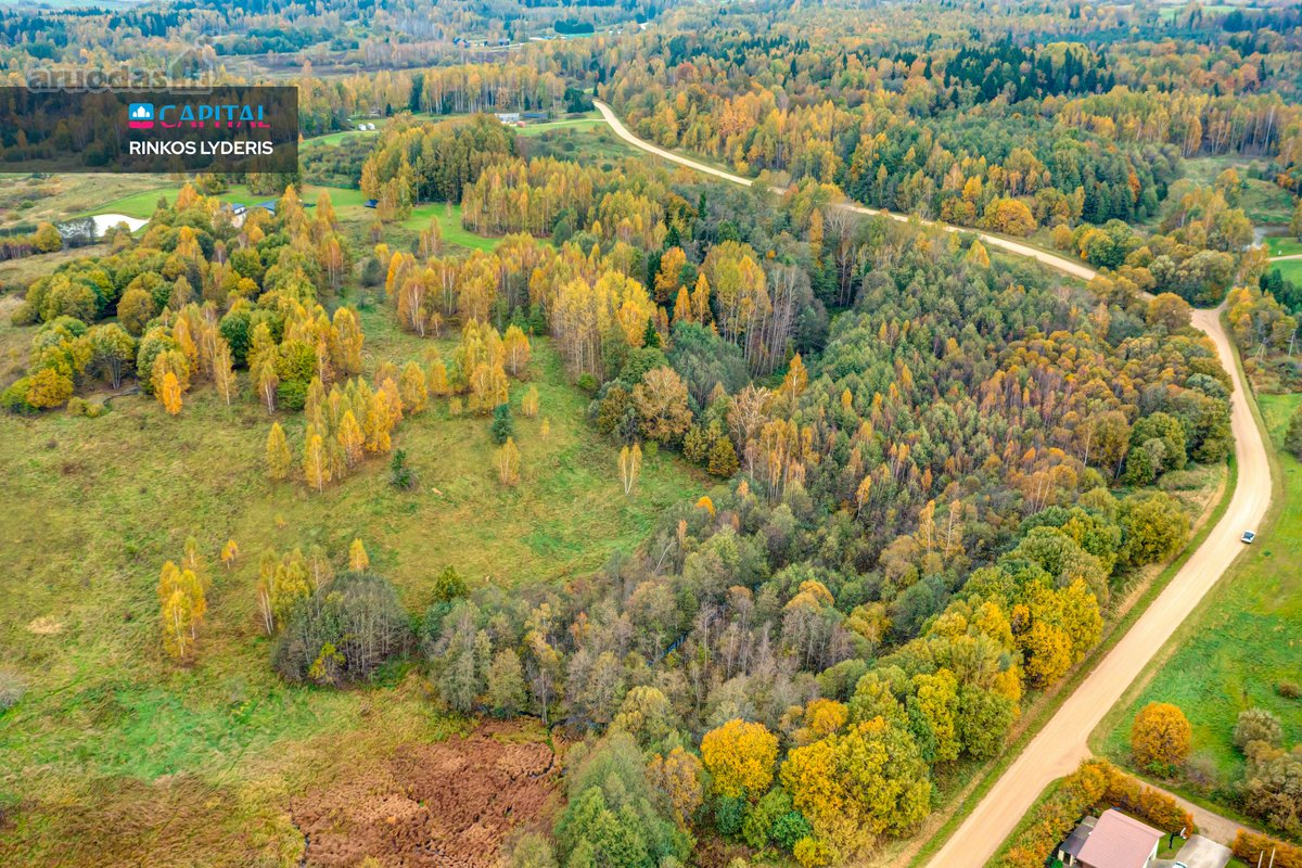 Parduodamas 192 arų Sklypas Vilniaus Raj. - nuotraukos Nr. 13