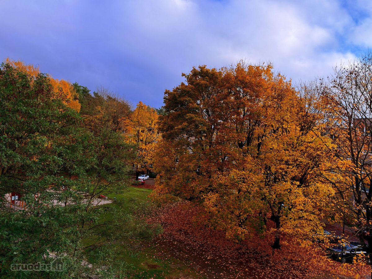 Parduodamas 2 Kambarių Butas Renovuotame Name - nuotraukos Nr. 27