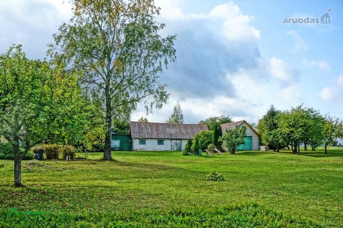 Parduodama didelė sodyba vienkiemyje, ežerų - nuotraukos Nr. 20