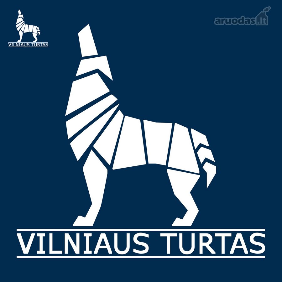 Studija Vilniaus Naujamiestyje  Aukštos - nuotraukos Nr. 5