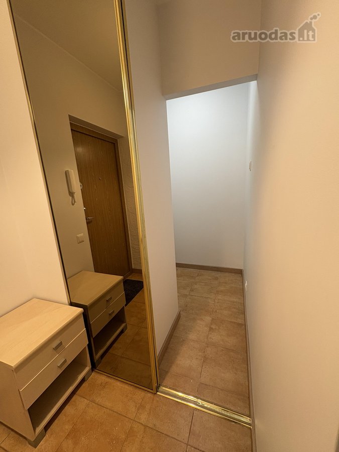 Išnuomojamas Naujai Suremontuotas 1 Kambario - nuotraukos Nr. 21