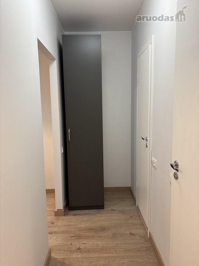Išnuomojamas Naujai Suremontuotas 1 Kambario - nuotraukos Nr. 7
