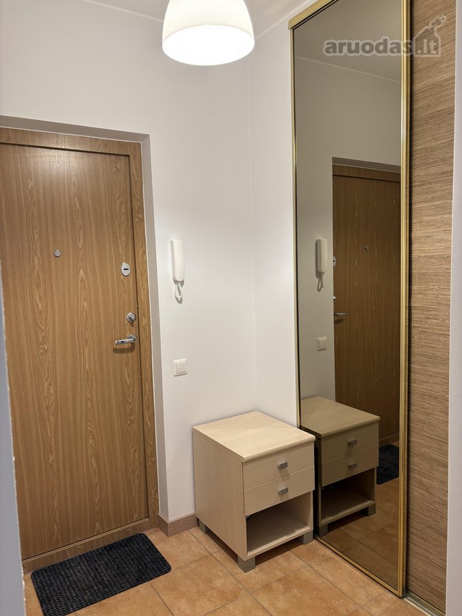 Išnuomojamas Naujai Suremontuotas 1 Kambario - nuotraukos Nr. 19