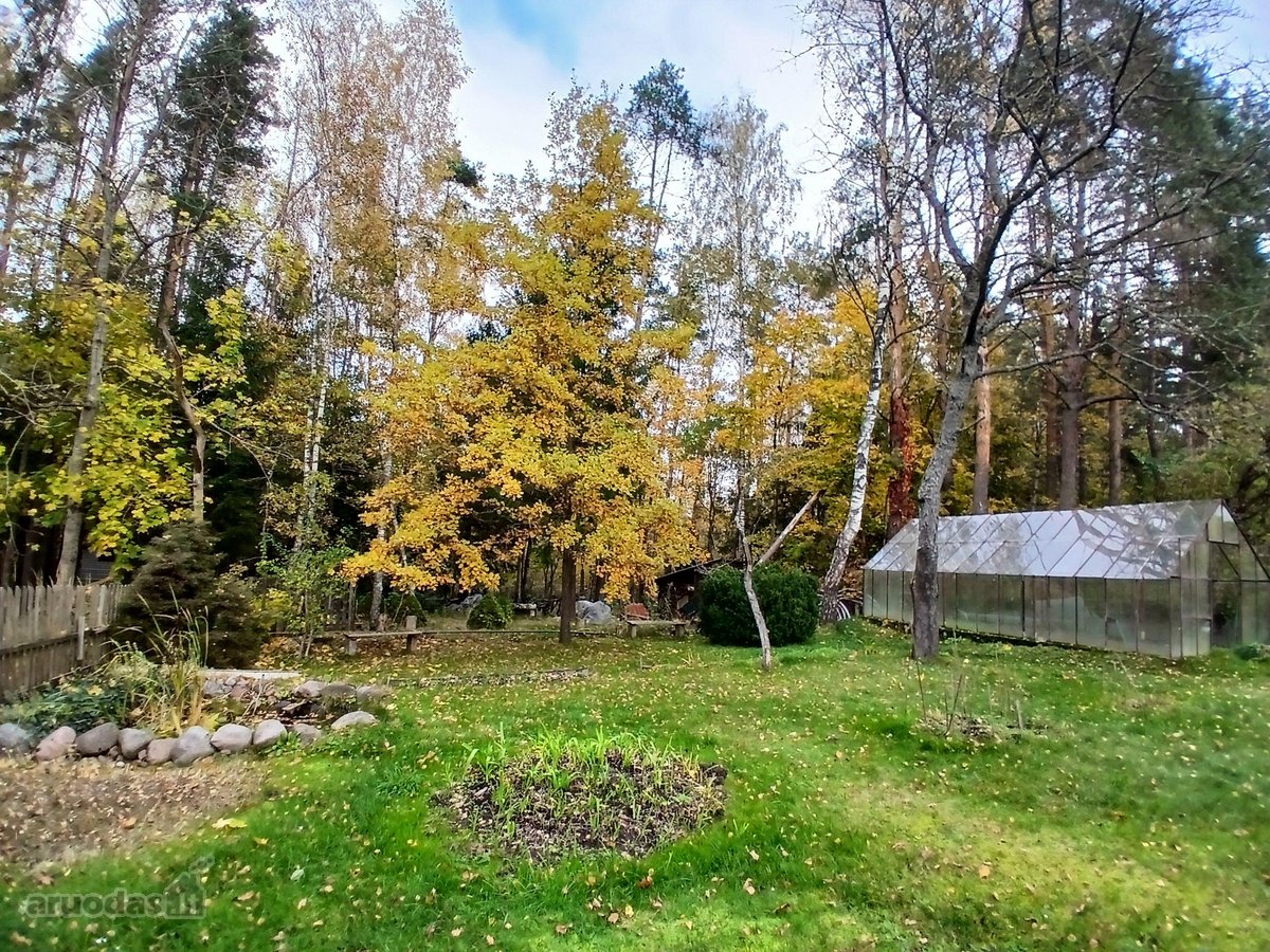 Erdvus, besiribojantis su mišku 12a. sodas - nuotraukos Nr. 8