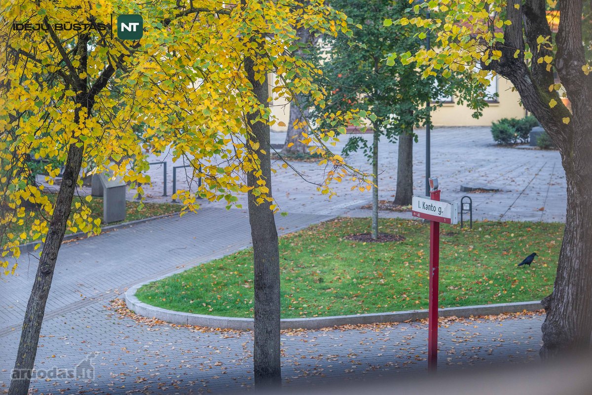 Nuomojamas Jaukus 2 Kambarių Butas S. - nuotraukos Nr. 25