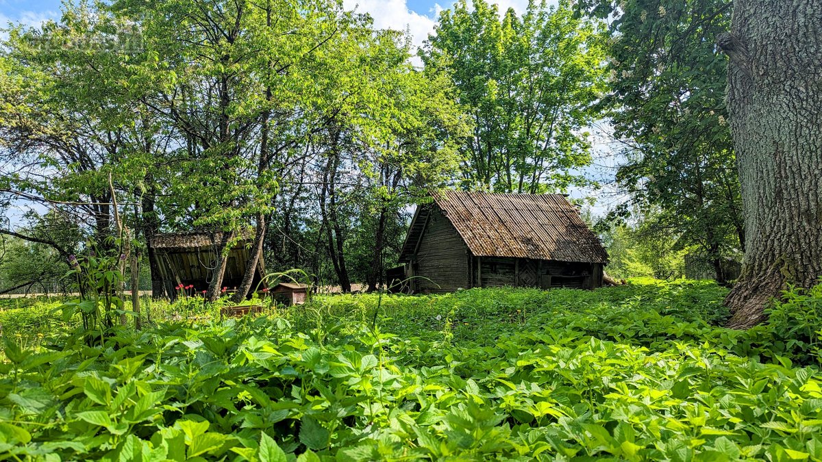 Tik 15 Km Nuo Anykščių Miesto, Rašimų Kaime, - nuotraukos Nr. 13