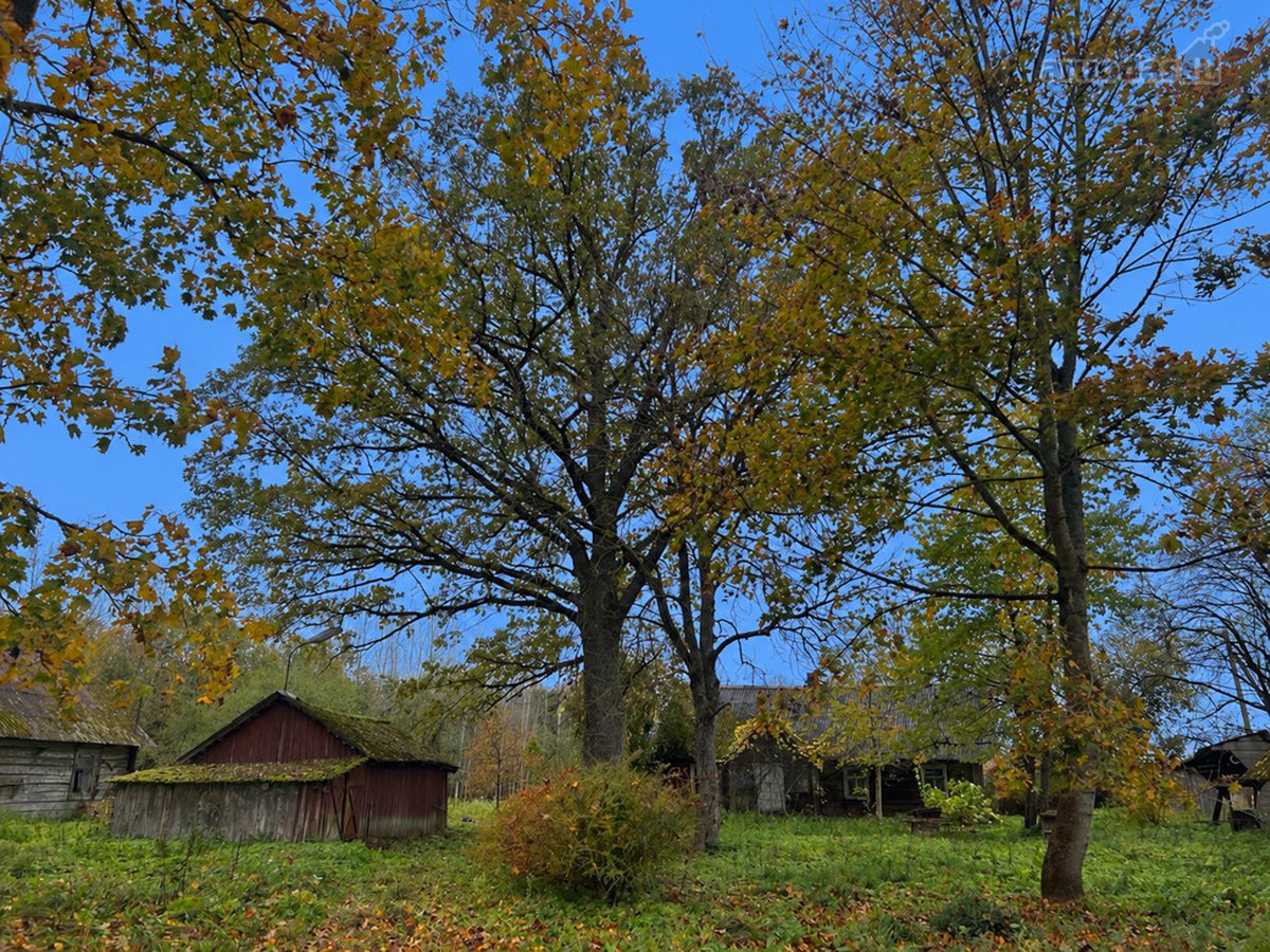 Tik 15 Km Nuo Anykščių Miesto, Rašimų Kaime, - nuotraukos Nr. 15
