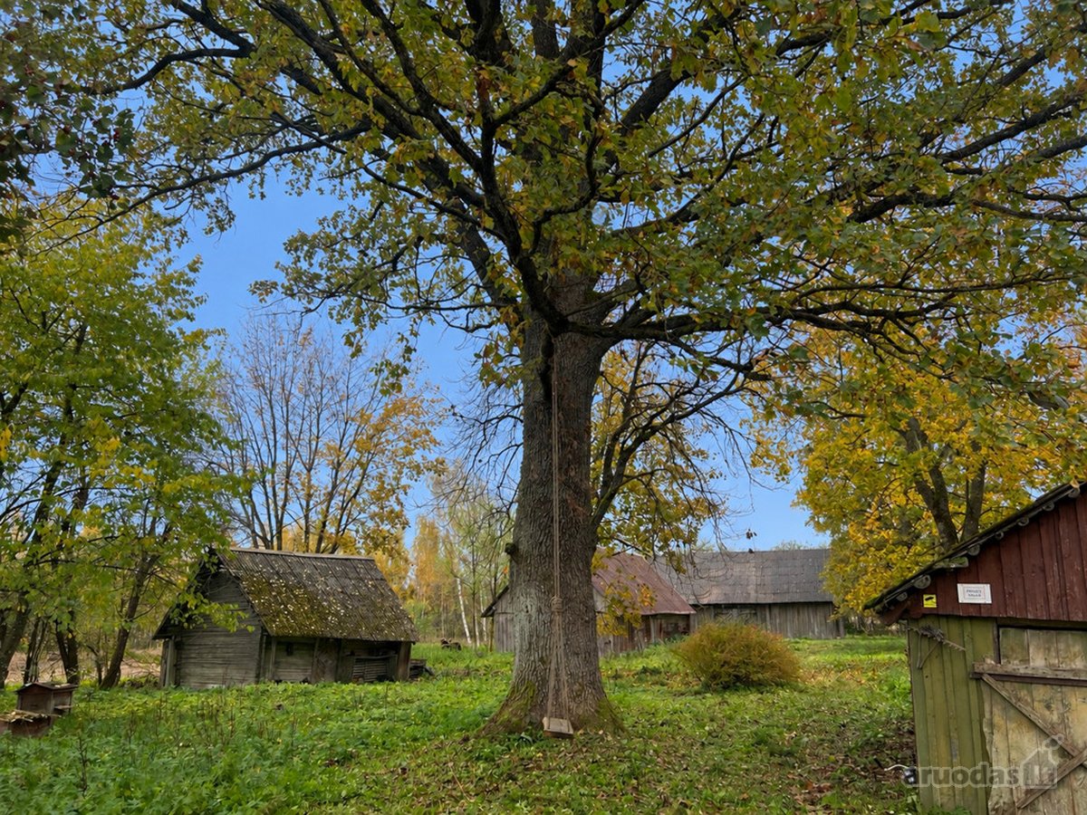 Tik 15 Km Nuo Anykščių Miesto, Rašimų Kaime, - nuotraukos Nr. 18