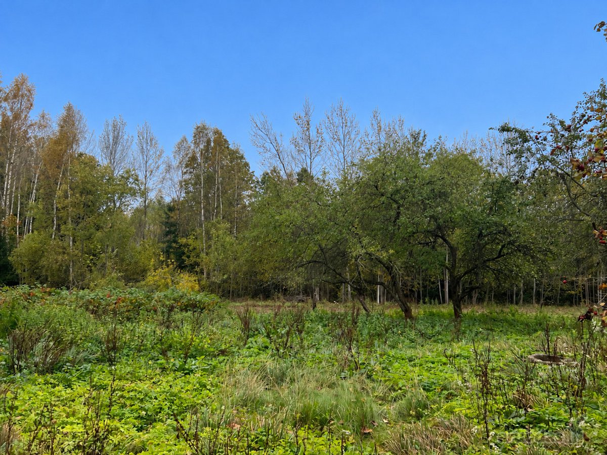 Tik 15 Km Nuo Anykščių Miesto, Rašimų Kaime, - nuotraukos Nr. 22