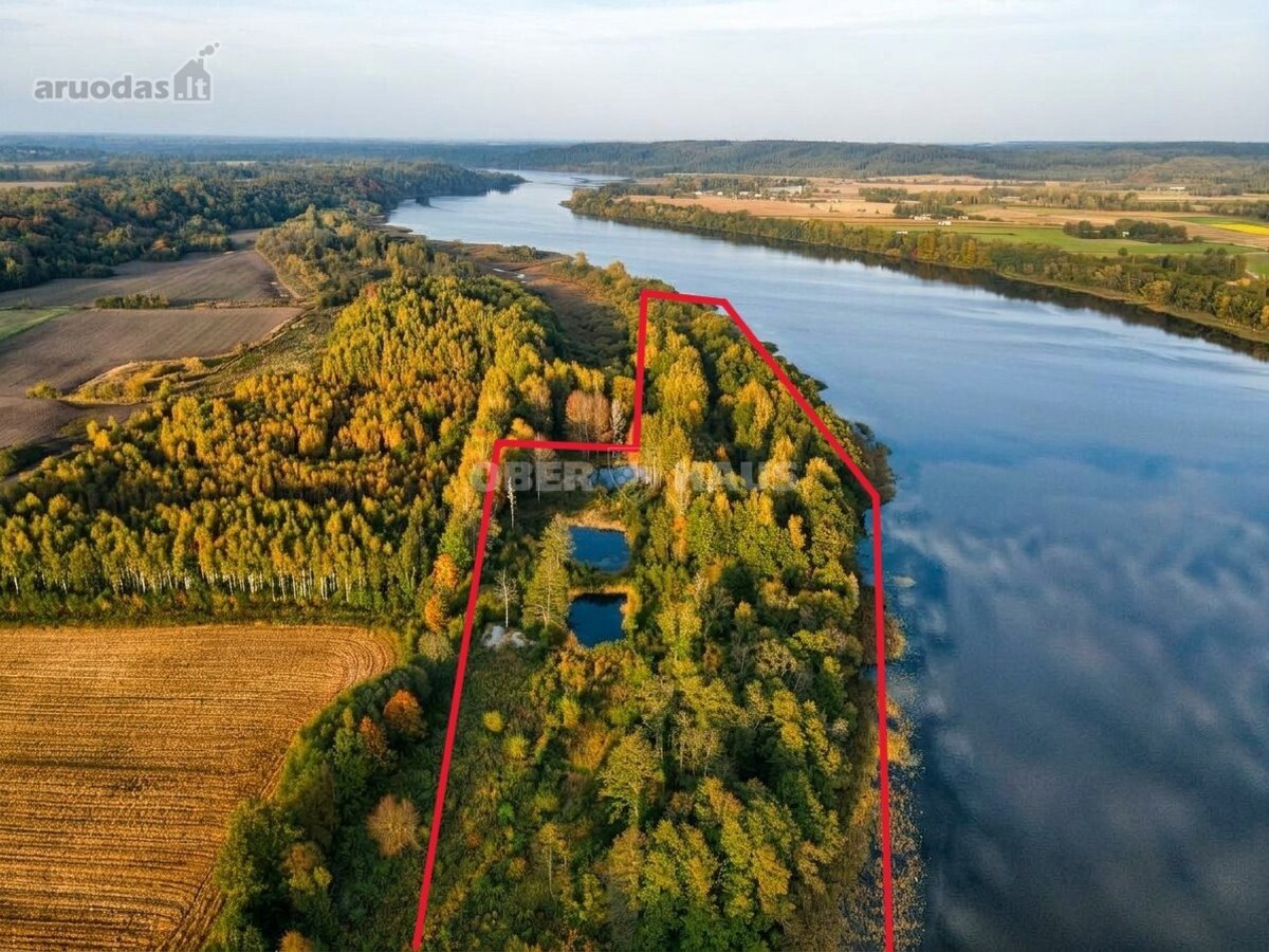 Parduodamas 4,69 Ha Sklypas Prie Nemuno - nuotraukos Nr. 2