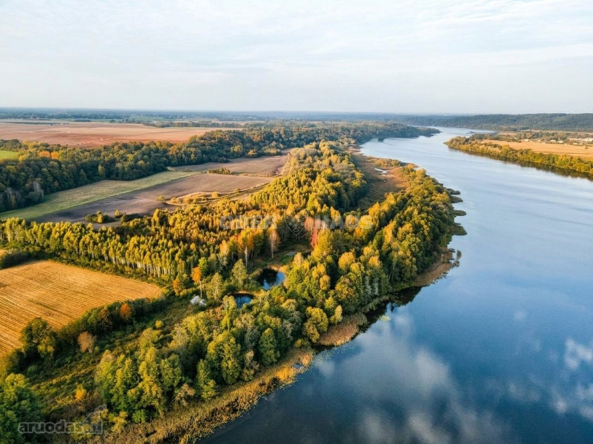 Parduodamas 4,69 Ha Sklypas Prie Nemuno - nuotraukos Nr. 4