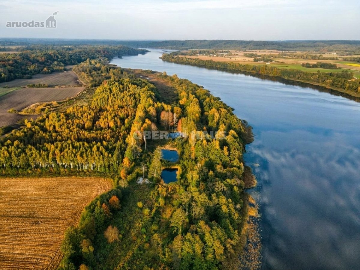 Parduodamas 4,69 Ha Sklypas Prie Nemuno - nuotraukos Nr. 5