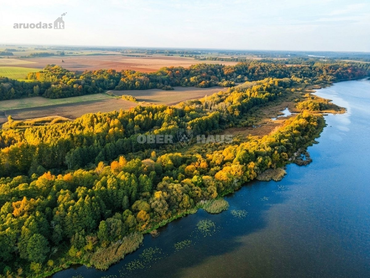 Parduodamas 4,69 Ha Sklypas Prie Nemuno - nuotraukos Nr. 8