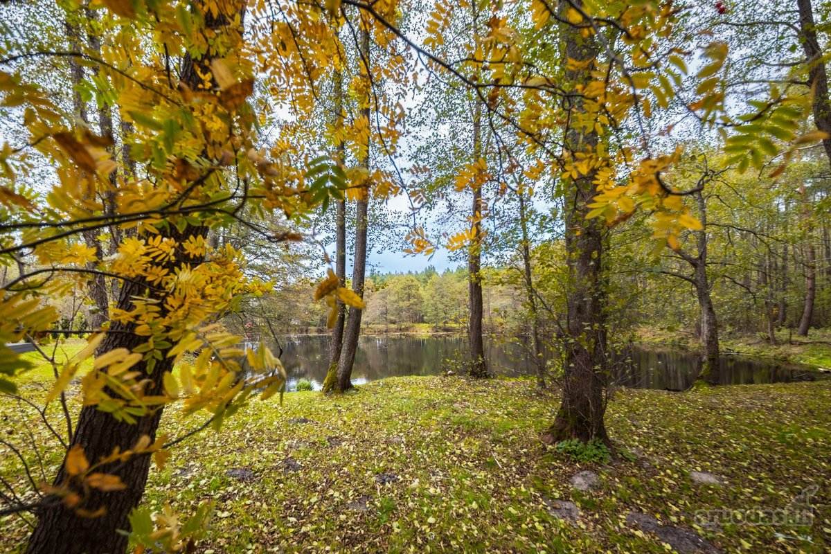Ramioje Ir Pušynų Apsuptoje Nemirsetoje - nuotraukos Nr. 23
