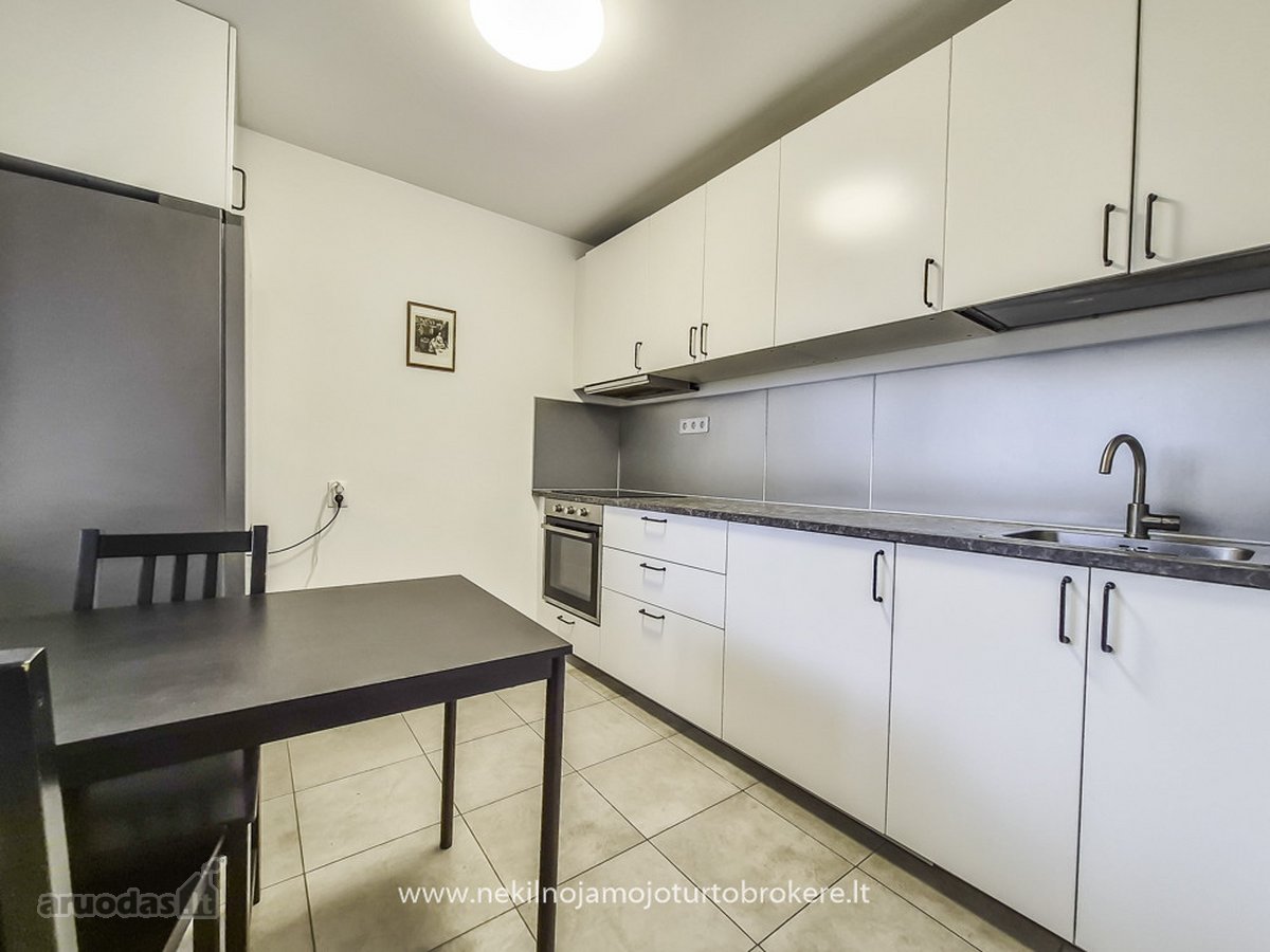 Išnuomojamas Vieno Kambario Butas Renovuotame - nuotraukos Nr. 10