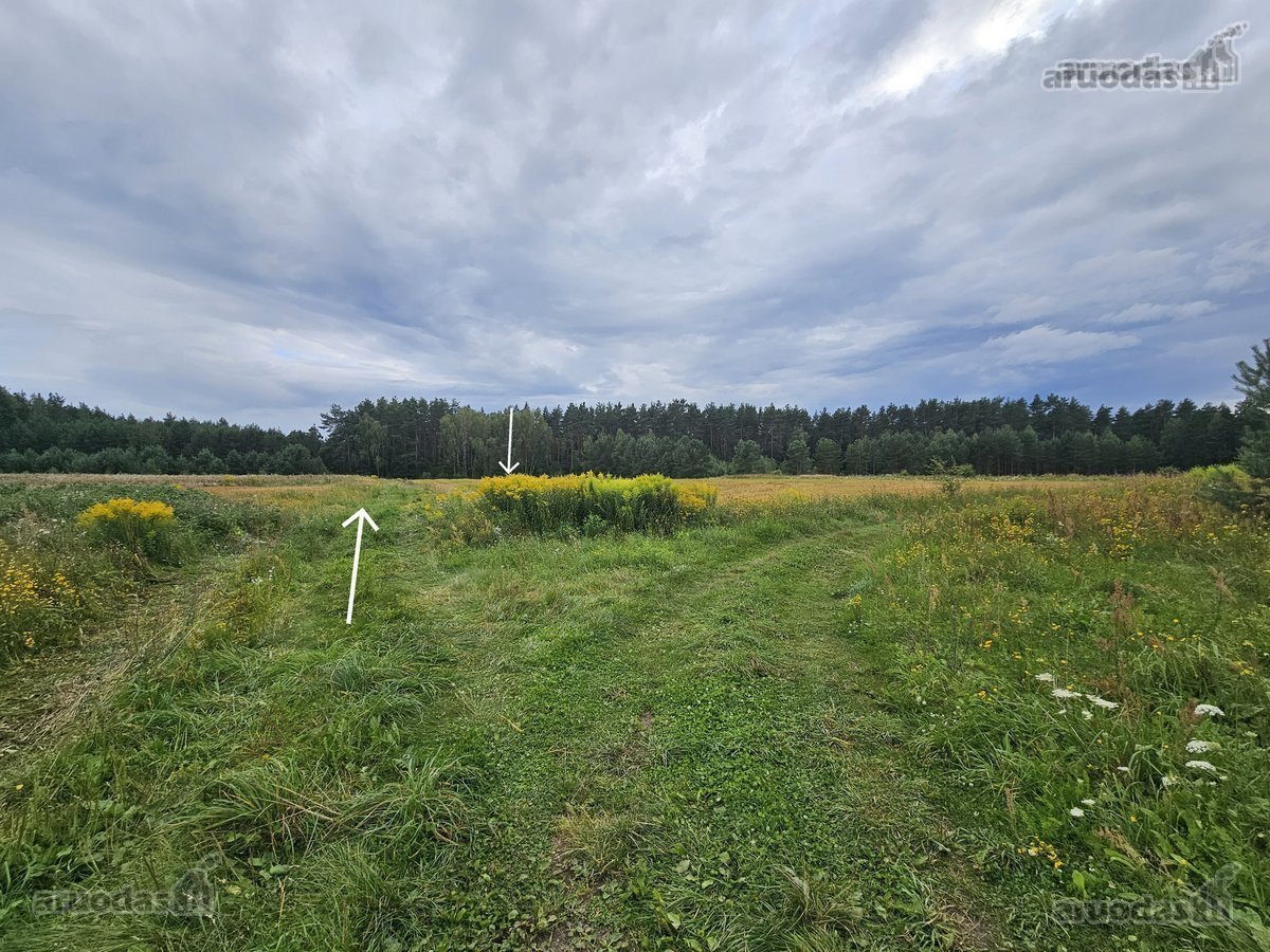 Parduodami 2 žemės sklypai 0,1260 ha ir 0 - nuotraukos Nr. 6