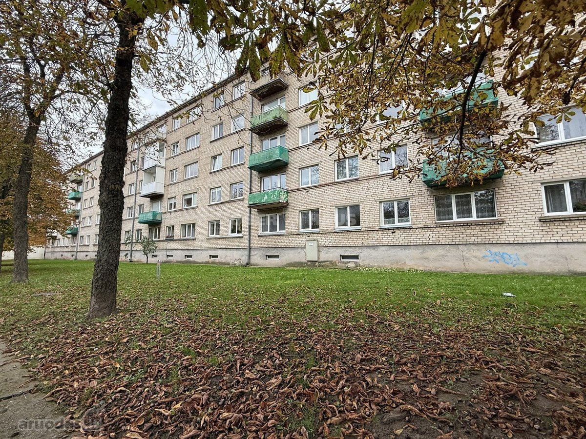 Puikus pasiūlymas ieškanties labai tvarkingo - nuotraukos Nr. 19